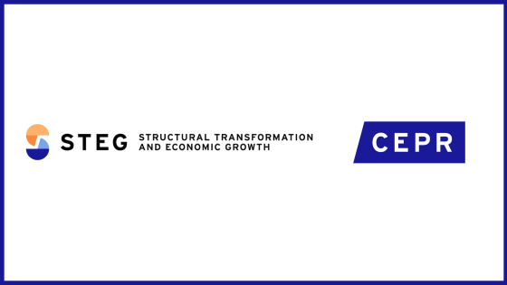 MG STEG LOGO