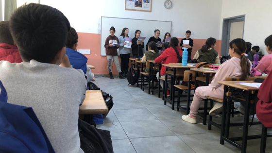Programme implementation by student-teachers