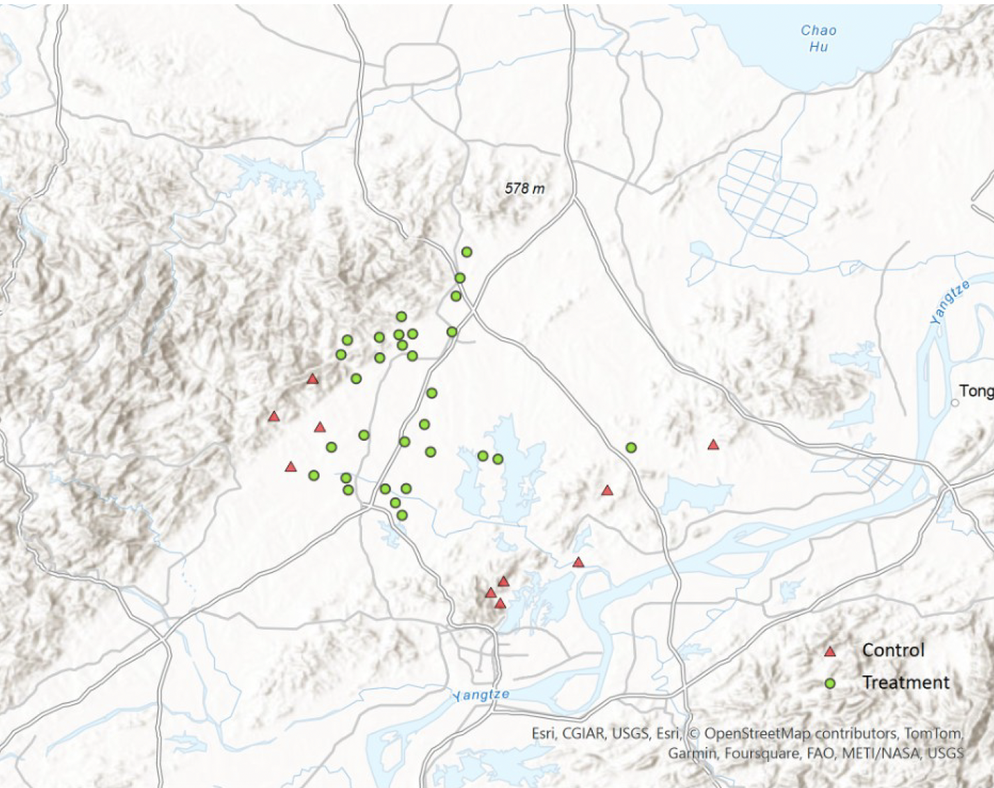 Figure 1 Treatment versus control places in Tongcheng county